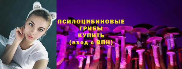 mdpv Няндома