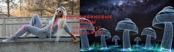 mdpv Няндома