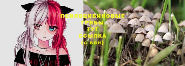 кокс Нягань