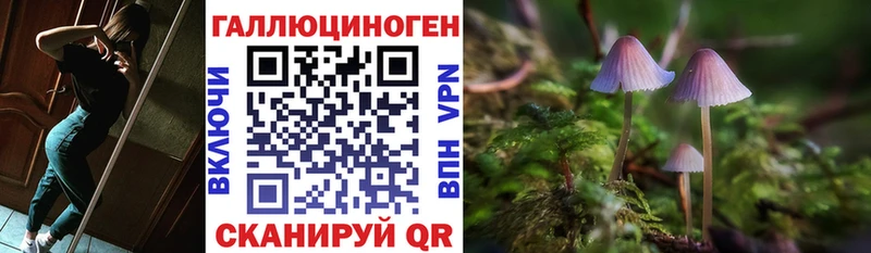 Галлюциногенные грибы Psilocybe  Торжок 