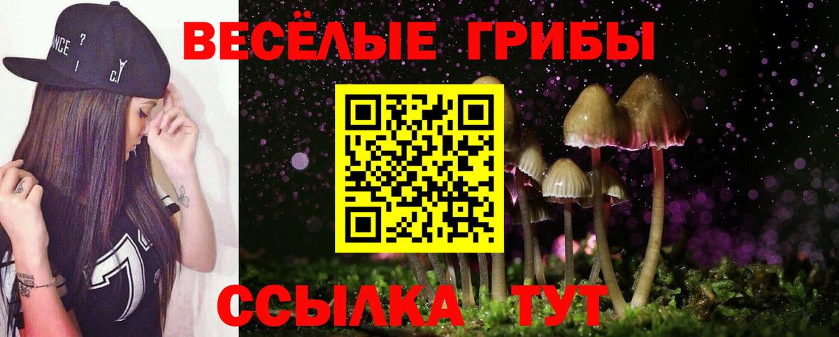 Псилоцибиновые грибы Magic Shrooms Торжок